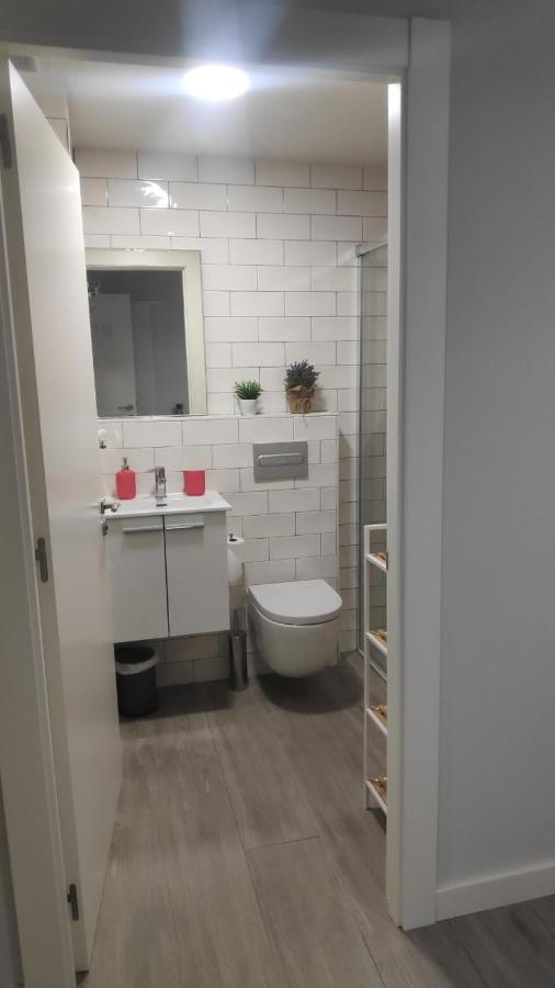 Carmen Alta Apartment Tudela